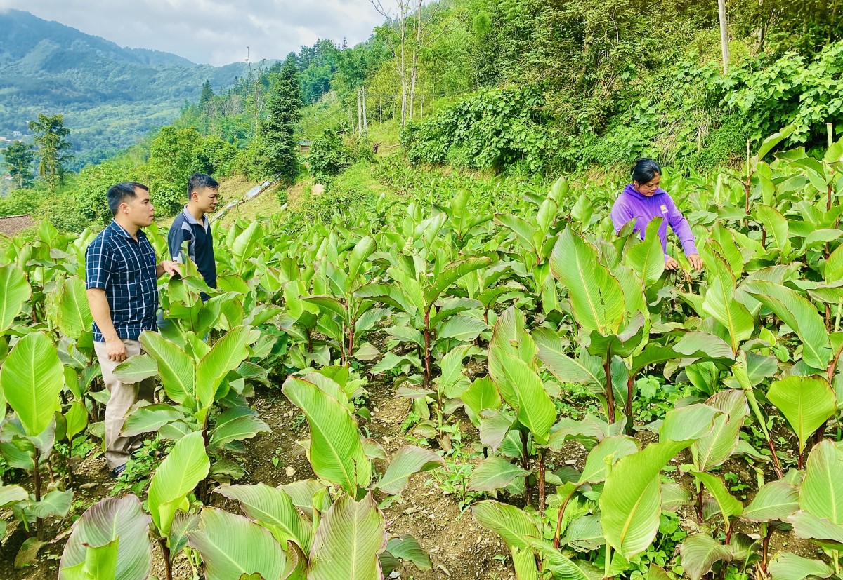 Mở hướng phát triển nông nghiệp sạch, an toàn, bền vững