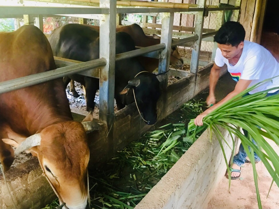 Cao Bằng: Triển khai 1.605 dự án, kế hoạch hỗ trợ phát triển sản xuất liên kết theo chuỗi giá trị