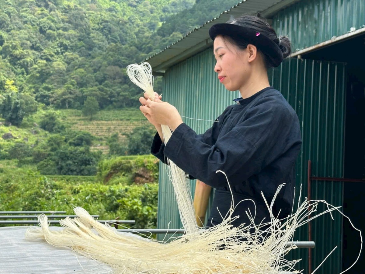Động lực thúc đẩy kinh tế nông thôn phát triển