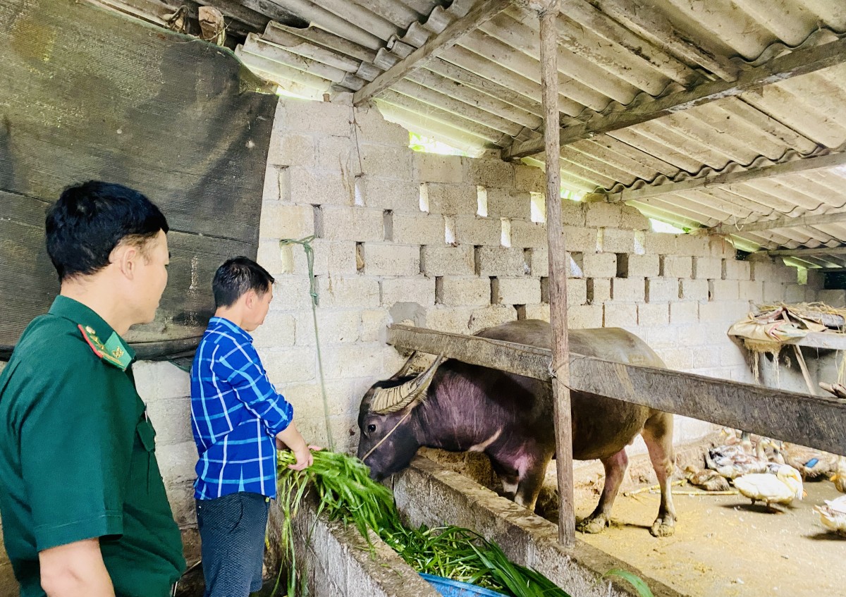Sao xanh toả sáng biên cương xanh - Kỳ 2: Biên cương toả sáng tình quân dân