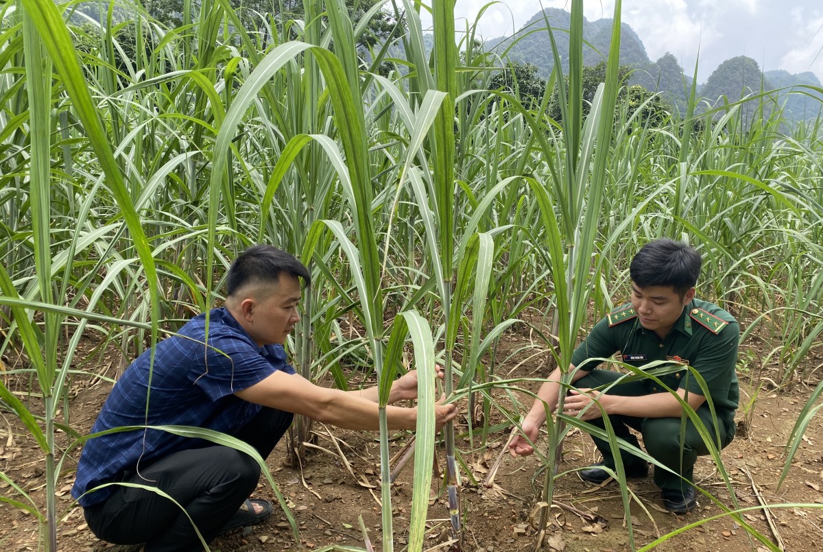 Vững vàng nơi tuyến đầu Tổ quốc - Kỳ 1: Đồng hành cùng đồng bào giữ vững biên cương