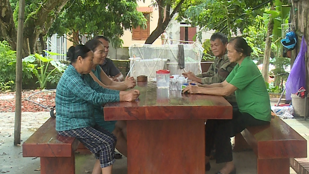 Mầm sống hồi sinh sau lũ dữ - Kỳ cuối: Tạo nguồn lực cho sản xuất, ổn định sinh kế người dân Mầm sống hồi sinh sau lũ dữ - Kỳ cuối: Tạo nguồn lực cho sản xuất, ổn định sinh kế người dân