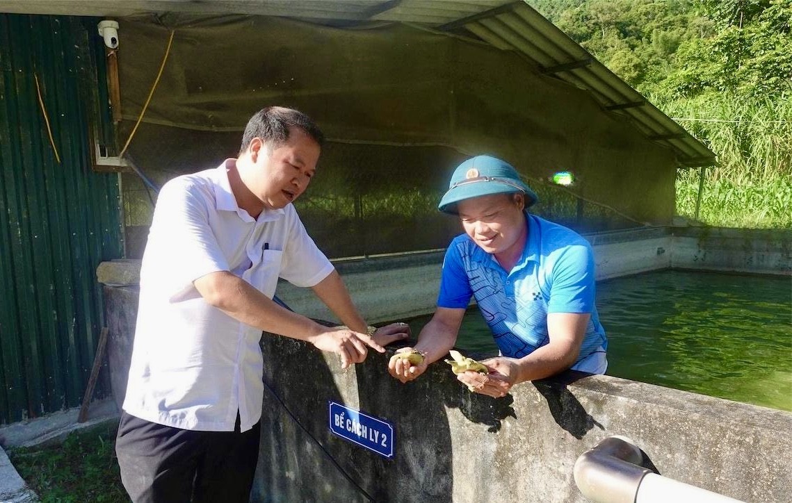 Kiên trì theo đuổi đam mê, gặt thành công với mô hình nuôi ba ba