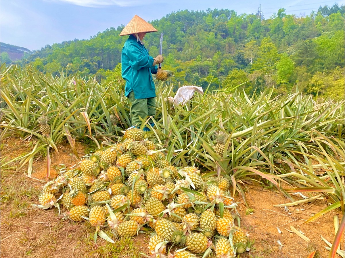 Bạch Đằng khơi dậy niềm tin và khát vọng từ Nghị quyết Đảng bộ xã