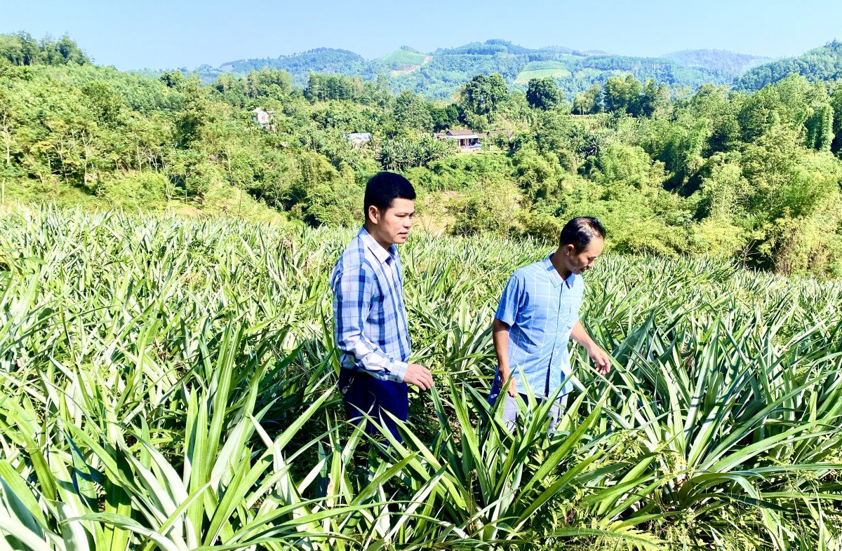 Bạch Đằng khơi dậy niềm tin và khát vọng từ Nghị quyết Đảng bộ xã