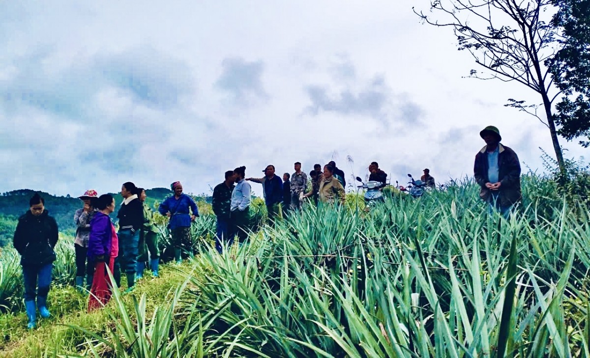 Bạch Đằng khơi dậy niềm tin và khát vọng từ Nghị quyết Đảng bộ xã