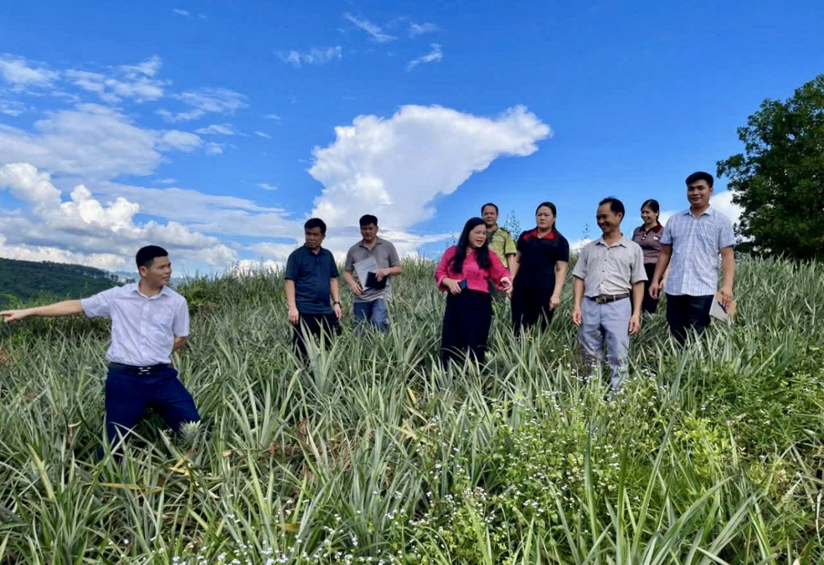 Bạch Đằng khơi dậy niềm tin và khát vọng từ Nghị quyết Đảng bộ xã