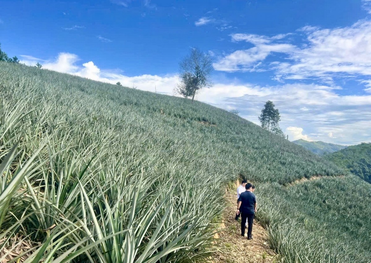 Bạch Đằng khơi dậy niềm tin và khát vọng từ Nghị quyết Đảng bộ xã