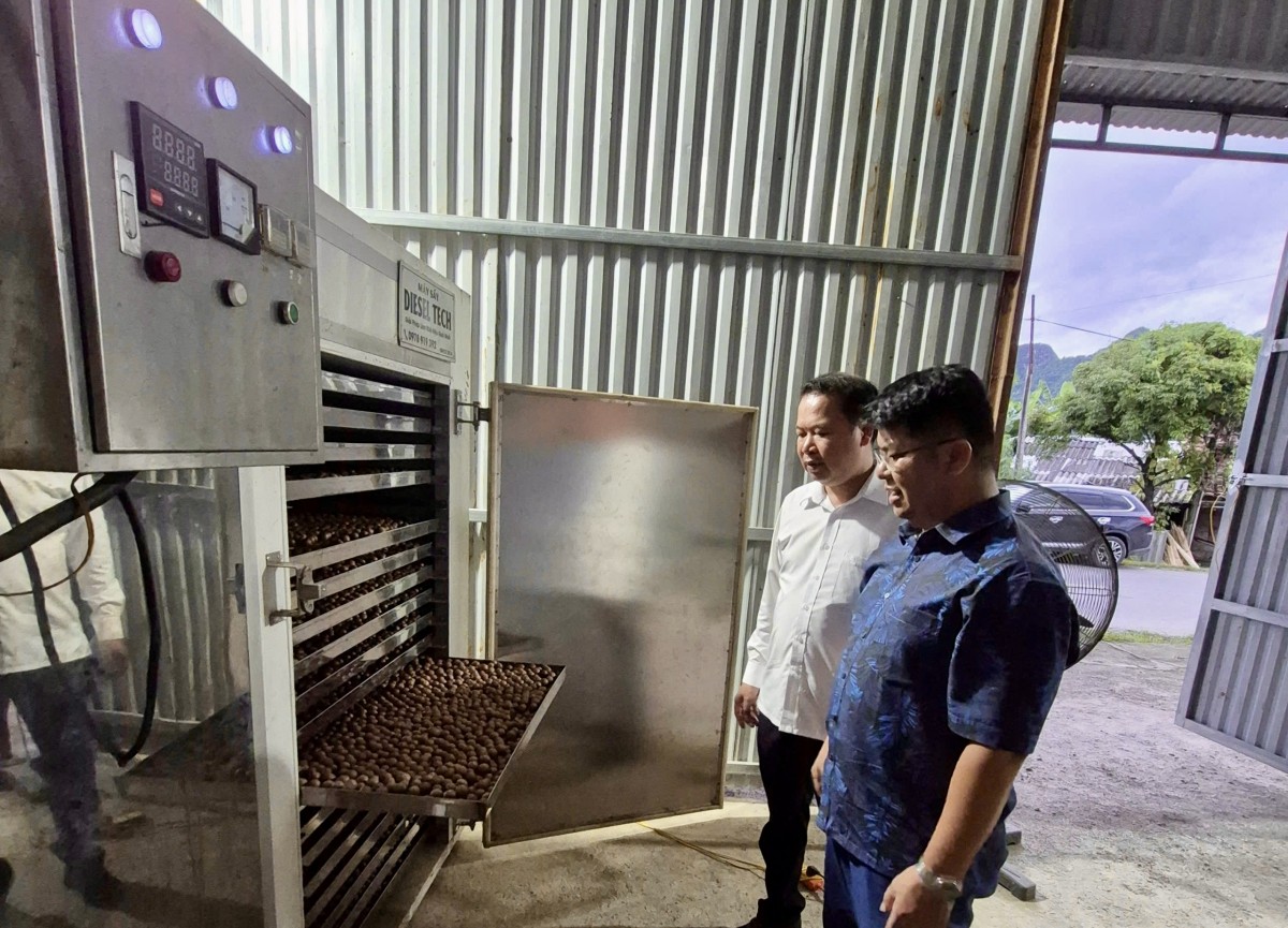 Liên minh Hợp tác xã Cao Bằng - “Bà đỡ” cho kinh tế tập thể phát triển bền vững