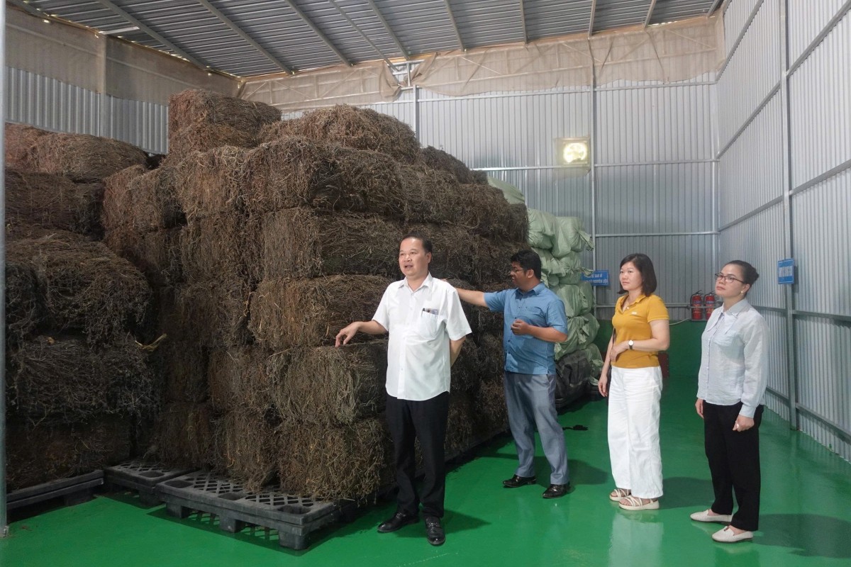 Liên minh Hợp tác xã Cao Bằng - “Bà đỡ” cho kinh tế tập thể phát triển bền vững