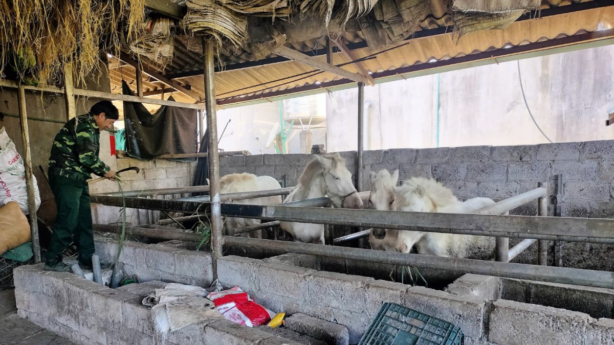 “Bạch Mã” đánh thức vùng đất khó