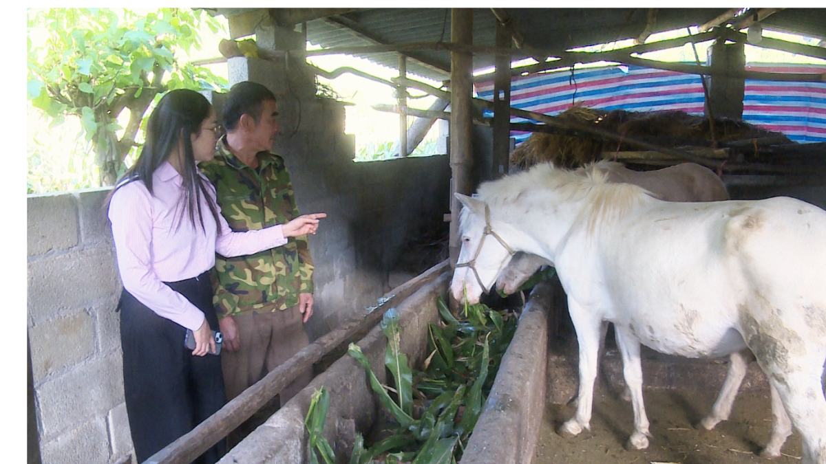 “Bạch Mã” đánh thức vùng đất khó