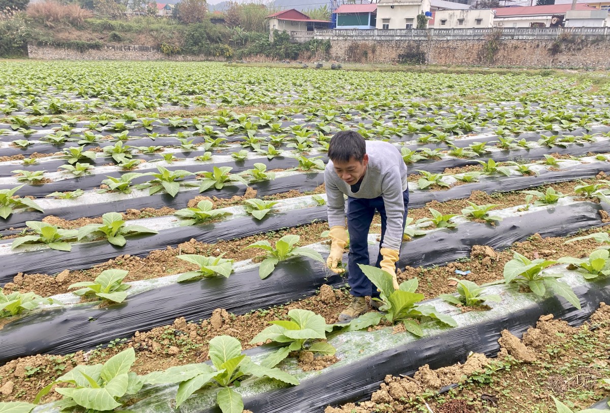 Động lực mới, niềm tin mới - nền tảng cho phát triển toàn diện và  bền vững