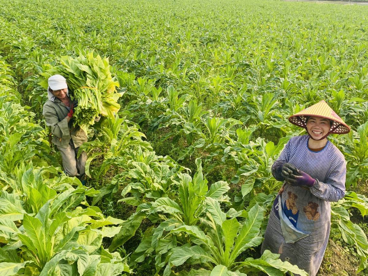 Cao Bằng: Năm 2026, ngành nông nghiệp phấn đấu tốc độ tăng trưởng đạt 4,5%