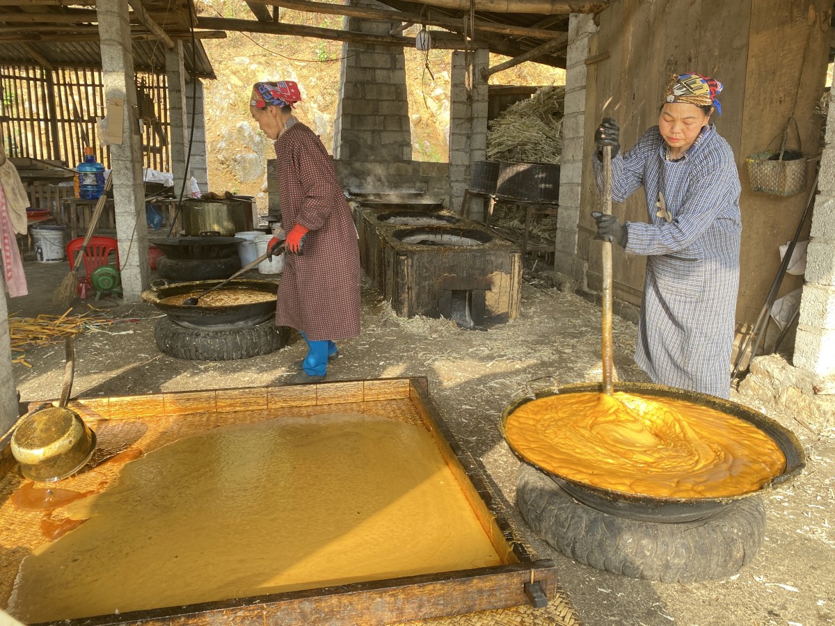 Công viên địa chất toàn cầu Non nước Cao Bằng – Miền di sản triệu năm