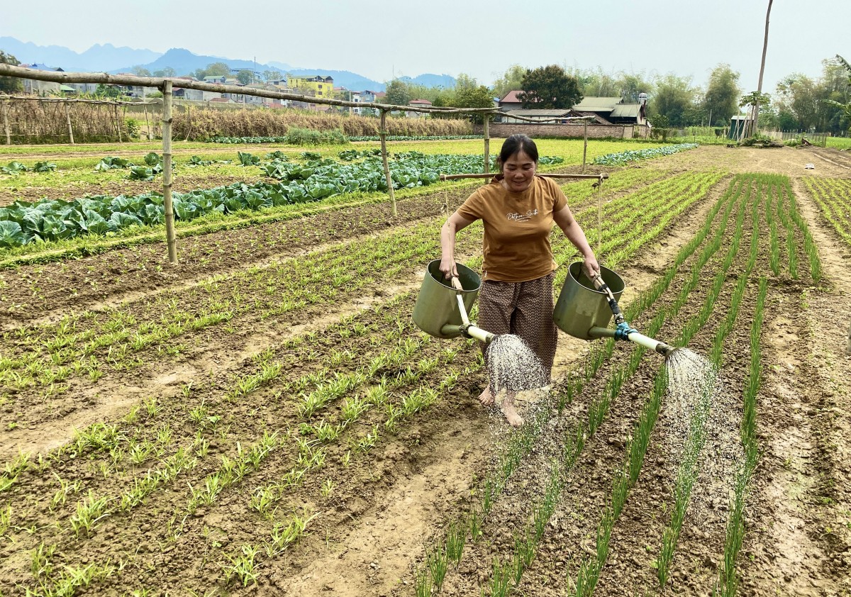 Quỹ Hỗ trợ nông dân tỉnh Cao Bằng vận động được hơn 5,8 tỷ đồng