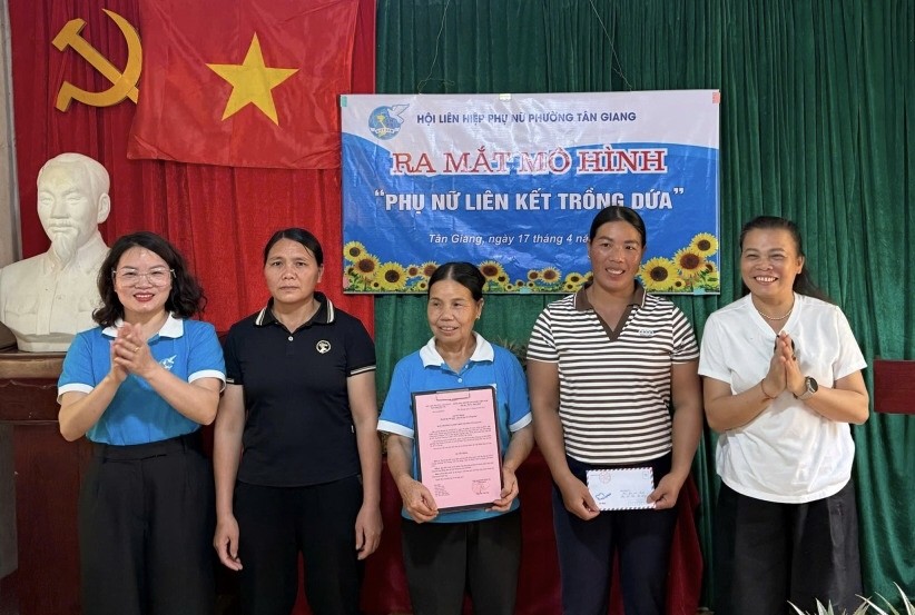 Hội LHPN phường Tân Giang ra mắt mô hình “Phụ nữ liên kết trồng dứa”