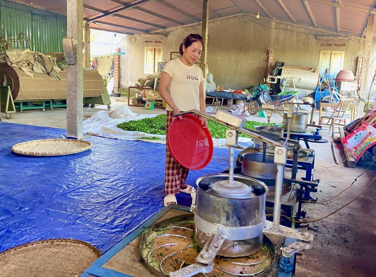 Phát triển sản xuất gắn với xây dựng thương hiệu, gia tăng giá trị sản phẩm