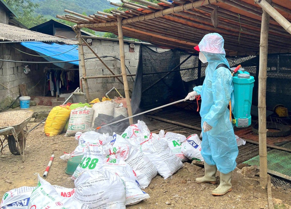 Cao Bằng: Phát hiện ổ dịch cúm gia cầm A/H5N1 tại phường Tân Giang