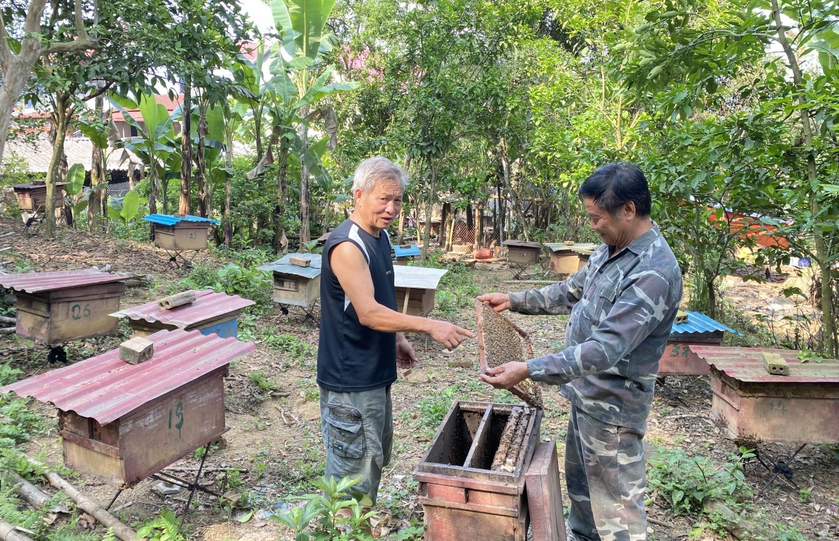 OCOP - Khơi dậy tiềm năng, nâng tầm nông sản, tạo sinh kế bền vững