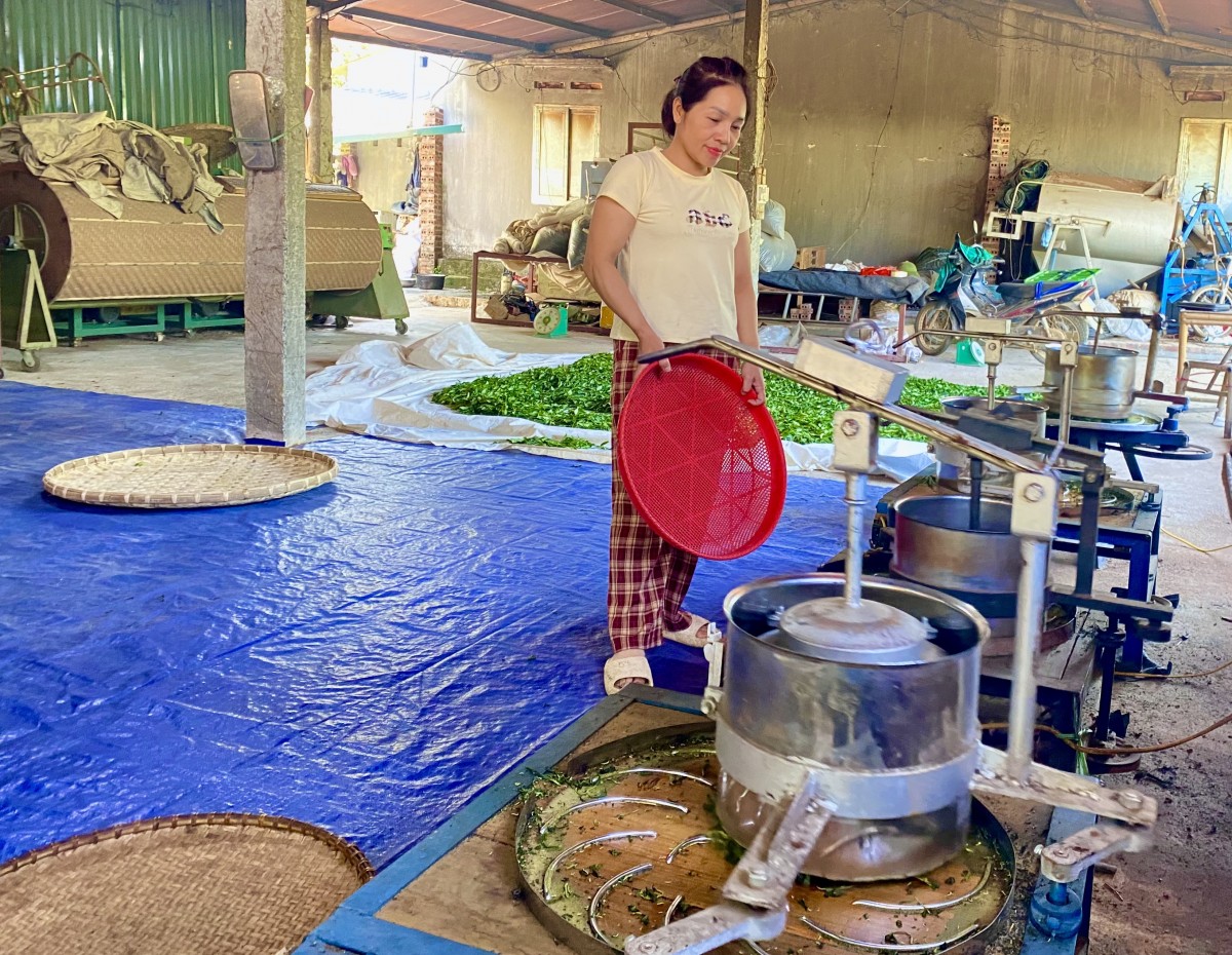 OCOP - Khơi dậy tiềm năng, nâng tầm nông sản, tạo sinh kế bền vững
