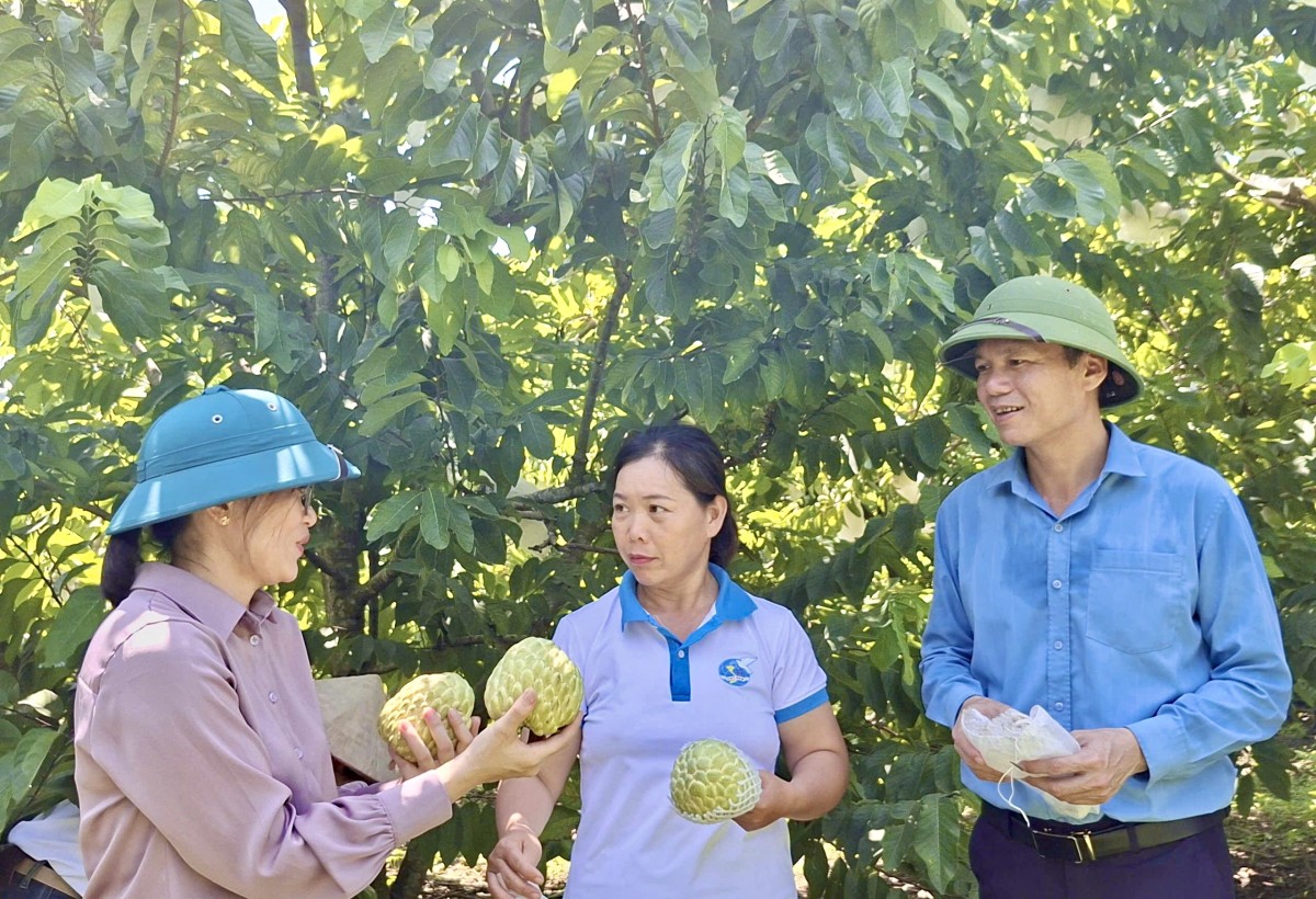 Người phụ nữ năng động làm giàu chính đáng trên mảnh đất quê hương
