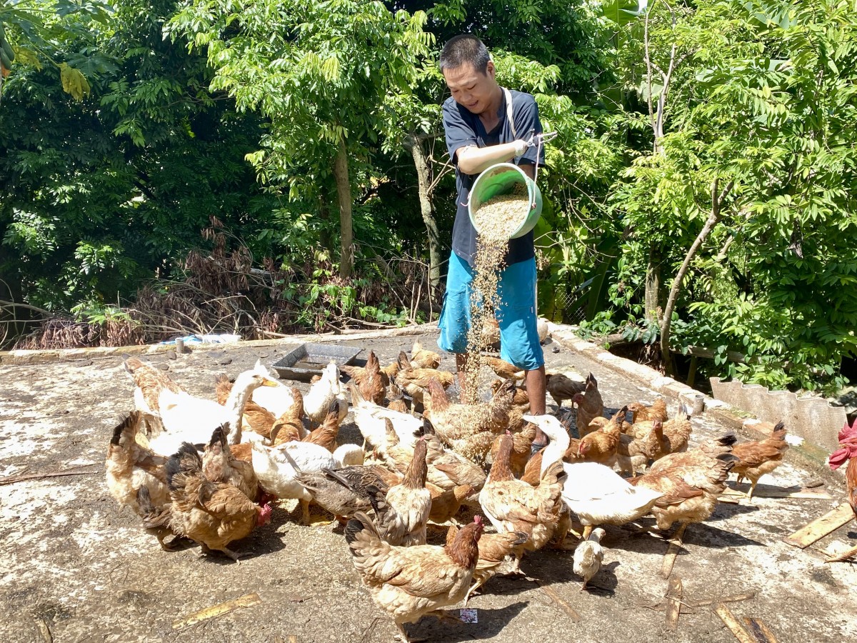 Người hội viên nông dân không để nghịch cảnh “đóng cửa” tương lai