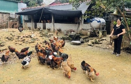 Lan toả phong trào “Nông dân thi đua sản xuất, kinh doanh giỏi”