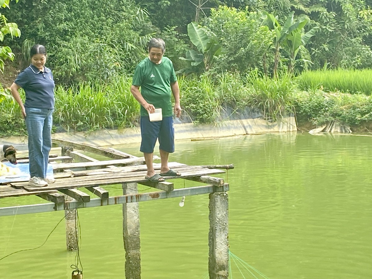Lan toả phong trào “Nông dân thi đua sản xuất, kinh doanh giỏi”