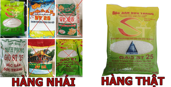4 cách phân biệt gạo ST25 thật và giả