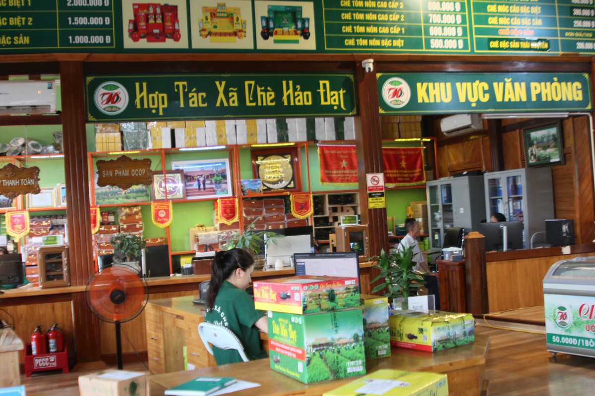 Tình yêu với cây chè và khát vọng đổi mới - Bài 2: Đỉnh cao chất lượng, đạt chuẩn OCOP 5 sao