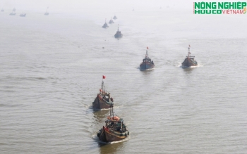 Nghệ An siết chặt chống khai thác IUU, đảm bảo 100% tàu cá không vi phạm vùng biển nước ngoài