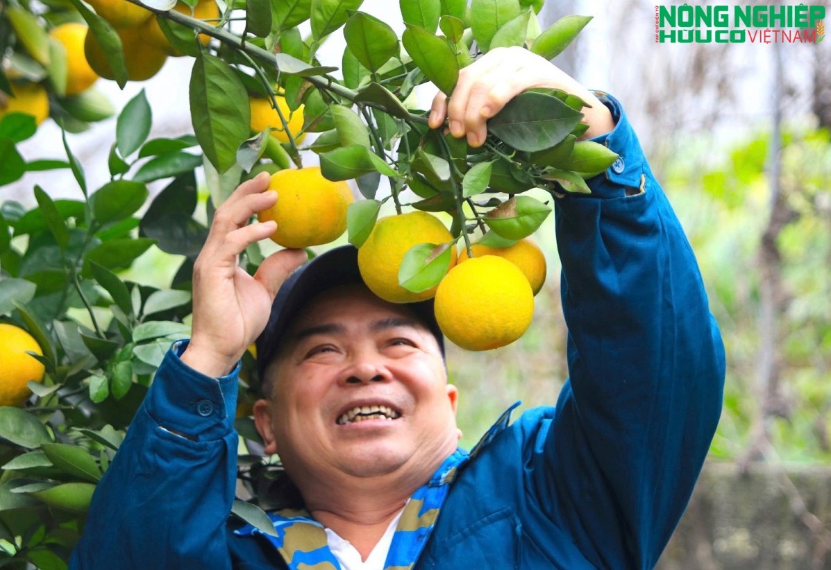 Nghệ An tạo động lực phát triển nông nghiệp hữu cơ toàn diện