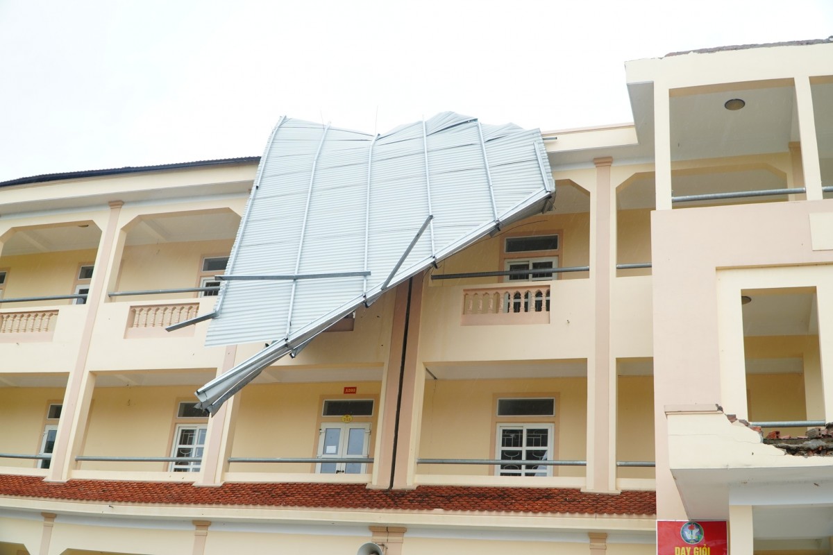 Bão số 10 khiến hơn 300.000 gia súc, gia cầm ở Nghệ An bị chết