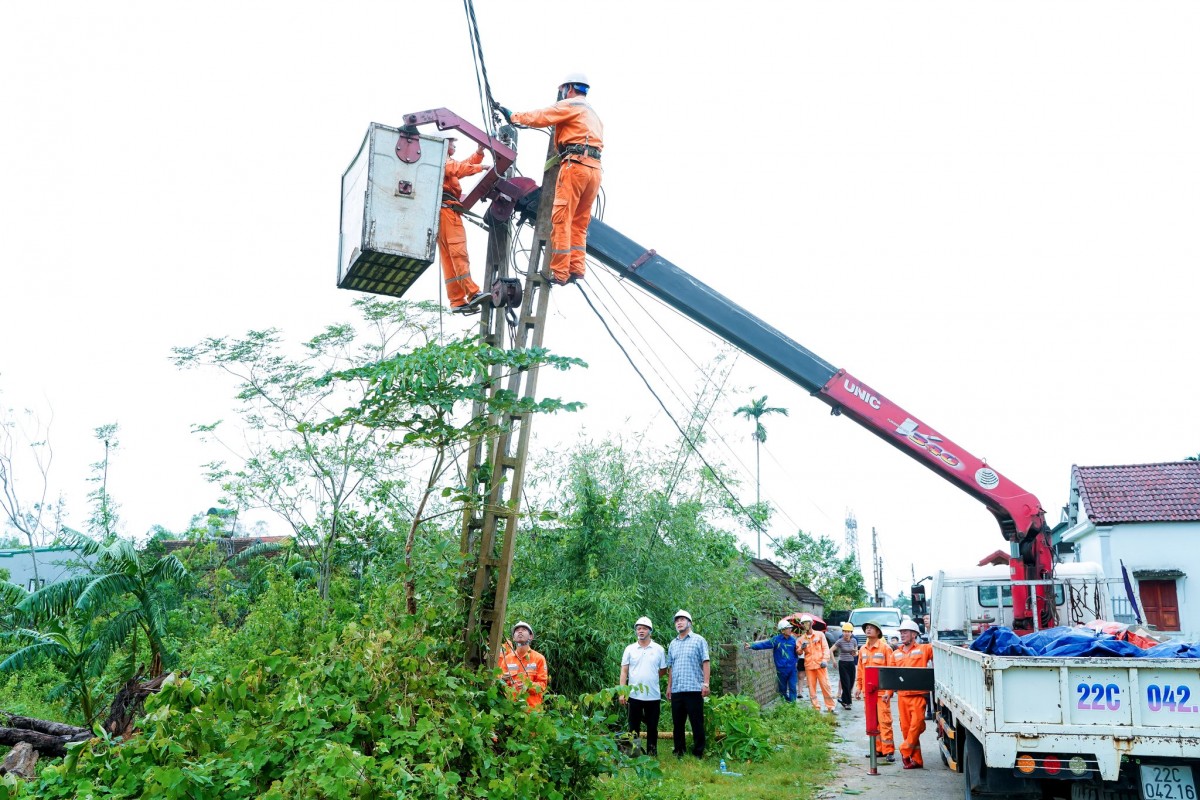 Bão số 10 khiến hơn 300.000 gia súc, gia cầm ở Nghệ An bị chết