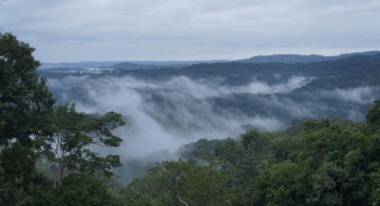 Triển khai đồng bộ Quy hoạch lâm nghiệp quốc gia giai đoạn 2021–2030