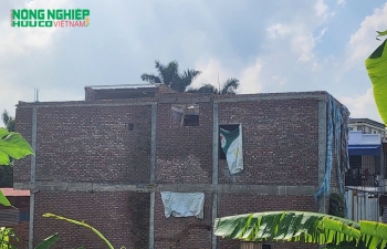 Người dân tự nguyện "gỡ" vi phạm xây dựng trái phép trên đất nông nghiệp ở Kiến An TP Hải Phòng