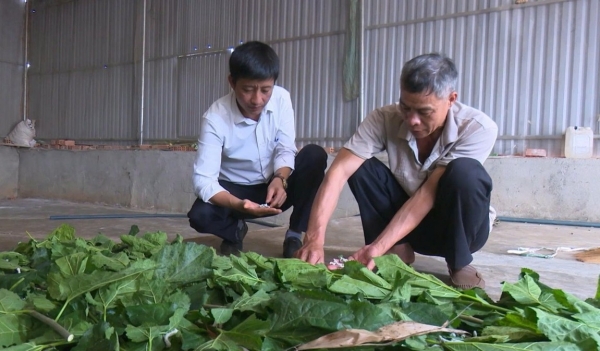 Lâm Đồng: Kinh tế nông nghiệp xã Quảng Tân phát triển theo hướng hàng hóa, hiện đại và bền vững Lâm Đồng: Kinh tế nông nghiệp xã Quảng Tân phát triển theo hướng hàng hóa, hiện đại và bền vững