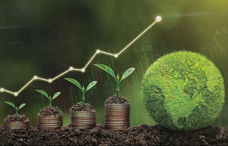 ESG – Chìa khóa để doanh nghiệp nông nghiệp Việt Nam mở cửa thị trường, đón dòng vốn xanh