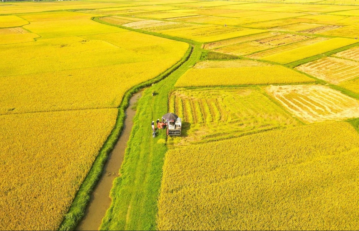 Dấu ấn 8 thập kỷ ngành Nông nghiệp và Môi trường: Kế thừa và đổi mới vì phát triển xanh, bền vững