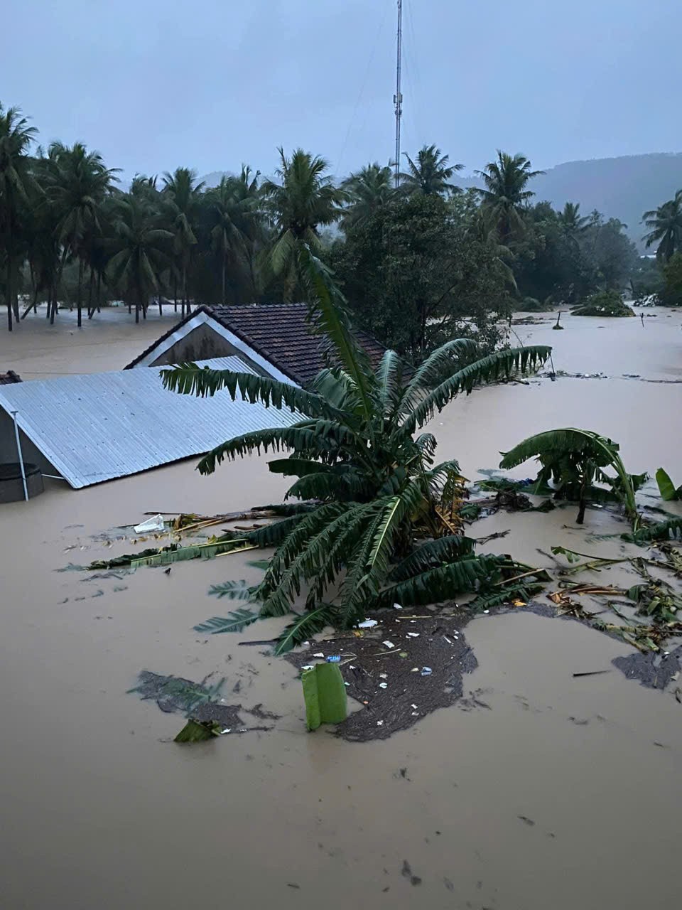 Đắk Lắk khẩn trương ứng phó mưa lũ, tính mạng người dân là trên hết