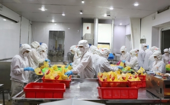 Bắc Ninh đẩy mạnh ứng dụng khoa học công nghệ trong phát triển chăn nuôi hiện đại