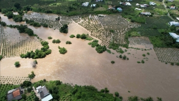 Bộ Chính trị giao tỉnh Quảng Ninh trực tiếp chi viện cho Lâm Đồng