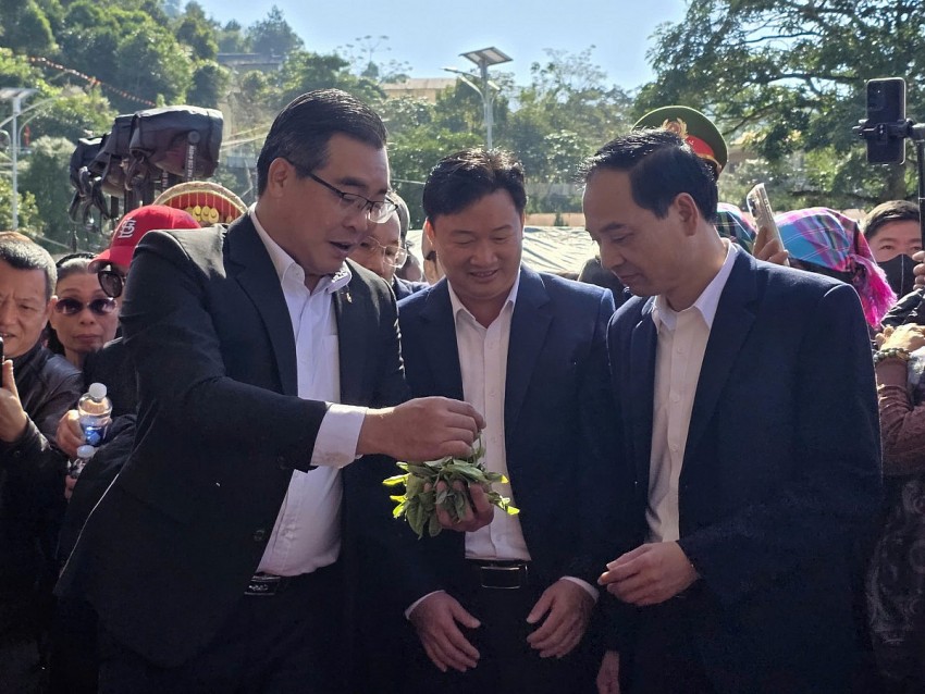 Khai mạc Lễ hội trà Shan Tuyết tỉnh Lào Cai