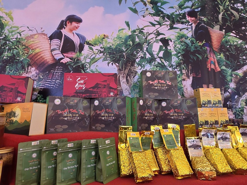 Khai mạc Lễ hội trà Shan Tuyết tỉnh Lào Cai