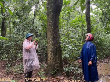 Tăng cường công tác quản lý, bảo vệ rừng đặc dụng Rú Lịnh