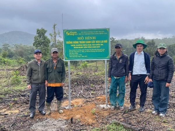 Triển khai mô hình trồng rừng thâm canh cây Keo lai cho các hộ nghèo và cận nghèo ở Quảng Trị