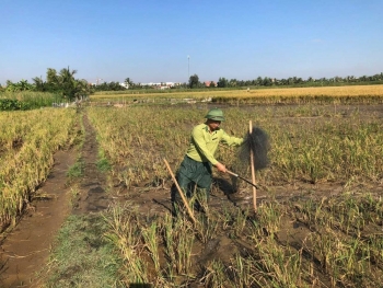 Quảng Ninh: Kiểm tra, tháo dỡ dụng cụ bẫy, bắt các loài chim hoang dã