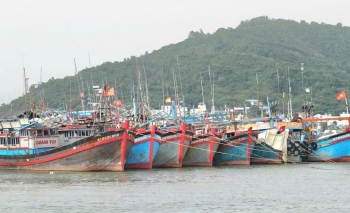 Khánh Hòa: Triển khai lệnh cấm biển từ 7 giờ ngày 28/11 để ứng phó bão số 15