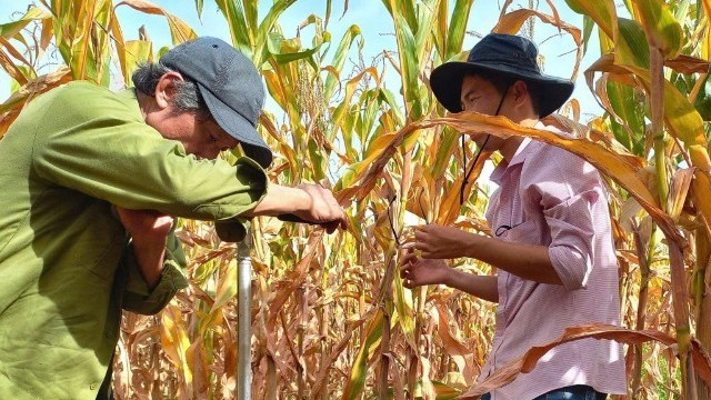 Nghiên cứu xác định bể chứa các-bon hữu cơ trong đất: Cơ hội cho mục tiêu Net Zero